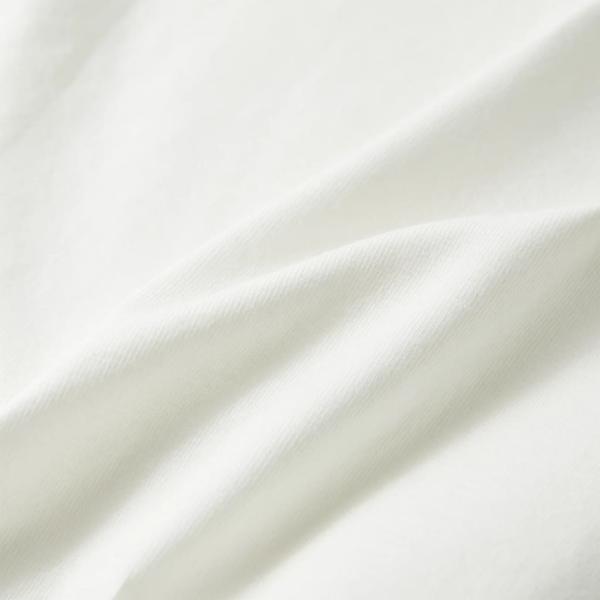 10799_7.jpg