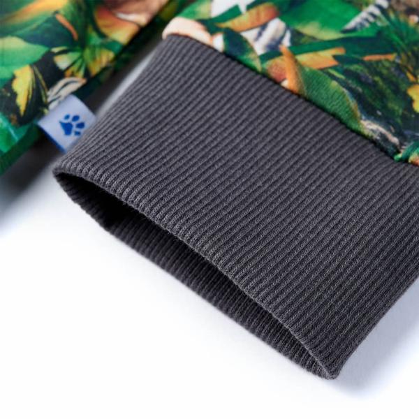 12019_5.jpg